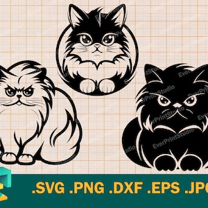 Perzische kat SVG - Cricut, silhouet | Schattig Perzische kat gesneden bestand | Download Cute Cat Digital Clip Art Logo, svg, png, eps, dxf