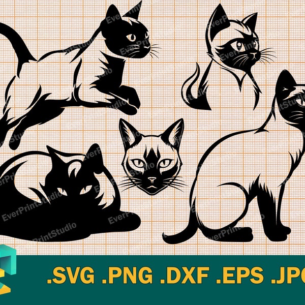 Siamese Cat SVG - Cricut, Silhouette | Vector Siamese Cat Bundle Cut File |  Printable Cute Kitten Clipart | Siamese Cat Breed Clip Art Logo