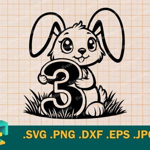 3. Geburtstag SVG - Cricut & Silhouette, Vektor Süße Häschen 3