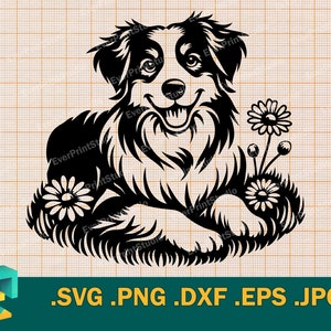 Australischer Schäferhund SVG - Cricut, Silhouette | Niedlicher Australischer Schäferhund SVG Vorlage für Schneidemaschine Download eps, dxf