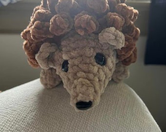 Hedgehog