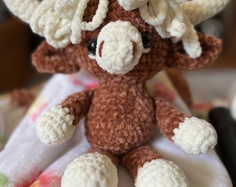 Highland Cow