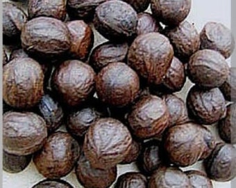 African Walnut, Nigerian Shellnut, Nigerian Ukpa or Asala