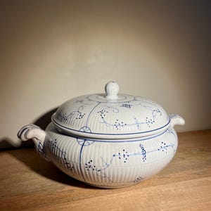 Villeroy & Boch terrine made in Dresden (Germany). 100+ years old.