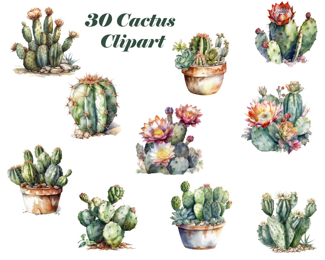 Cactus Clipart Cactus Flower Clipart Succulent Clipart Etsy