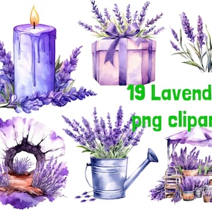 Lavanda clipart acuarela lavanda clipart lavanda flor clipart lavanda clipart png libre uso comercial diario basura descarga digital