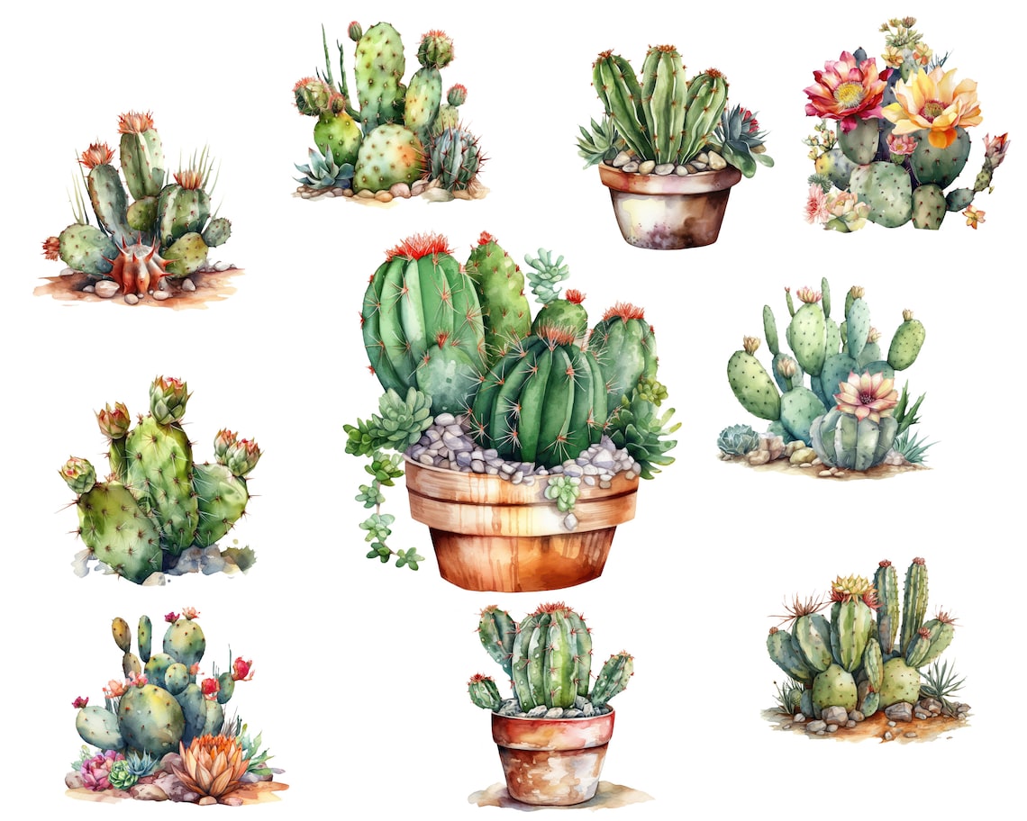 Cactus Clipart Cactus Flower Clipart Succulent Clipart Etsy