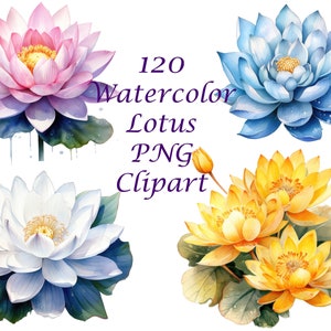 Clipart fiore di loto, loto PNG, pacchetto grande, pacchetto clipart di fiori, pacchetto di loto, loto acquerello, acquerello digitale, uso commerciale gratuito