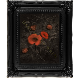 Vintage poppy wall art, dark floral canvas print