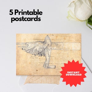 Handmade Illustrated Thank You Postcards | Vintage Antique Style Printable Postcard Set | Unique Gift Idea | Instant Download
