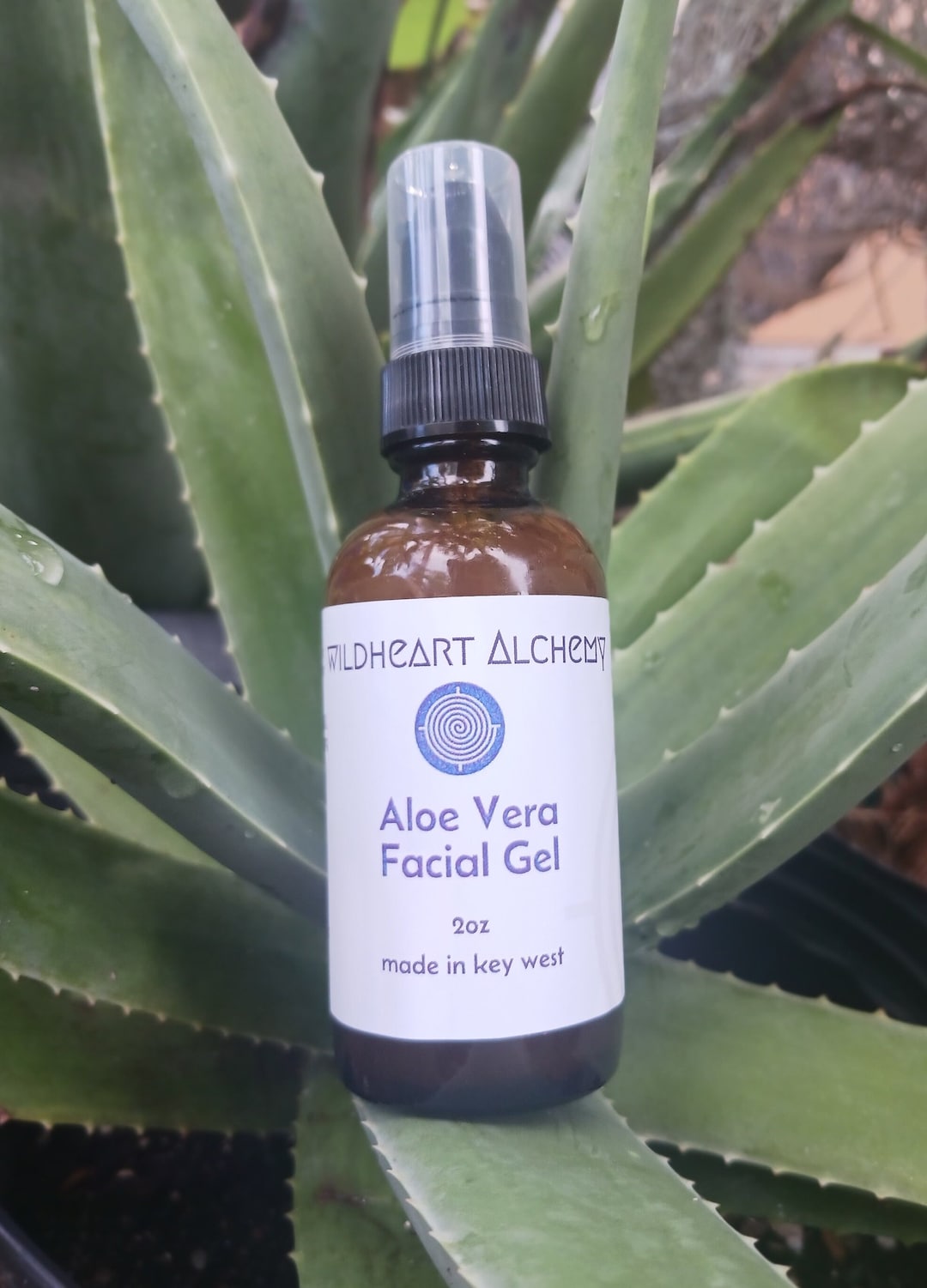 Aloe Vera Facial Gel Etsy