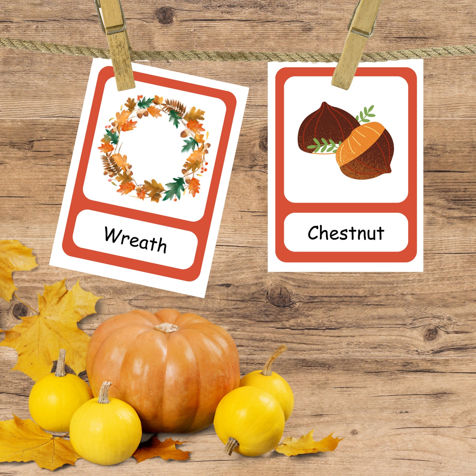 Printable Fall Flashcards, Autumn Vocabulary (PDF Pattern) - Etsy