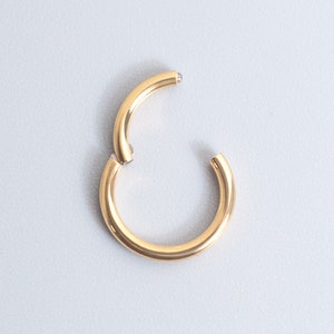 Titanium Clicker Ring Segment Hoop Septum Piercing 14g/16g/18g/20g Hinged Seamless Earring Hoop Silver Gold Cartilage Helix Tragus image 3
