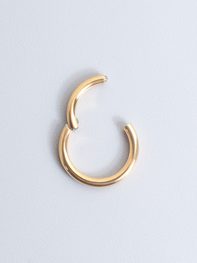 Titanium Clicker Ring Segment Hoop Septum Piercing 14g/16g/18g/20g Hinged Seamless Earring Hoop Silver Gold Cartilage Helix Tragus image 3