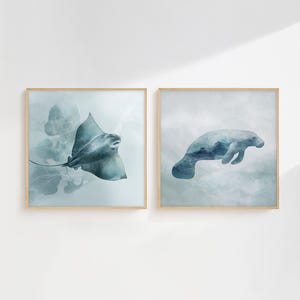 Op de afbeelding: Twee vierkante muurkunstprints in lichte houten lijsten. De linker print toont een blauwachtige pijlstaartrog die tussen zachte, abstracte waterige vormen zwemt. De rechter print toont een blauwachtige zeekoe in een wazige, etherische onderwateromgeving.