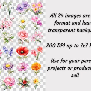 Puede incluir: Una colecci&oacute;n de 24 im&aacute;genes florales en acuarela en formato PNG con fondos transparentes. Las flores incluyen rosas, margaritas, amapolas y m&aacute;s. Las im&aacute;genes son de 300 DPI y hasta 17.78 x 17.78 cm. Texto: "Use for your personal projects or products you sell."