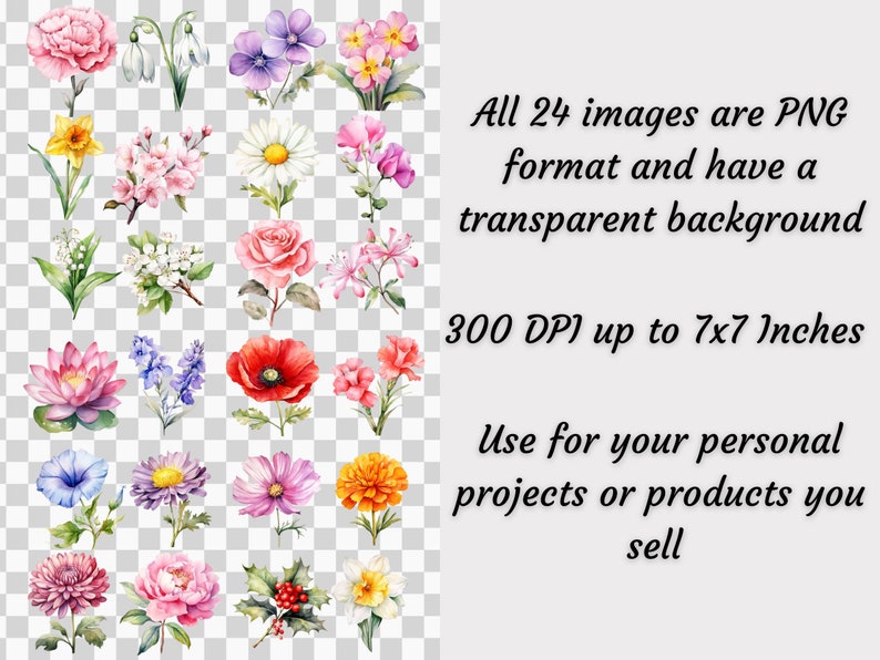 Puede incluir: Una colecci&oacute;n de 24 im&aacute;genes florales en acuarela en formato PNG con fondos transparentes. Las flores incluyen rosas, margaritas, amapolas y m&aacute;s. Las im&aacute;genes son de 300 DPI y hasta 17.78 x 17.78 cm. Texto: "Use for your personal projects or products you sell."