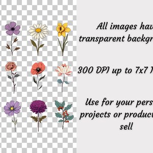 May include: A set of 12 hand-drawn floral illustrations with transparent backgrounds. The flowers are in various colors, including pink, purple, blue, red, yellow, and white. The flowers are up to 7 inches in size and 300 DPI.