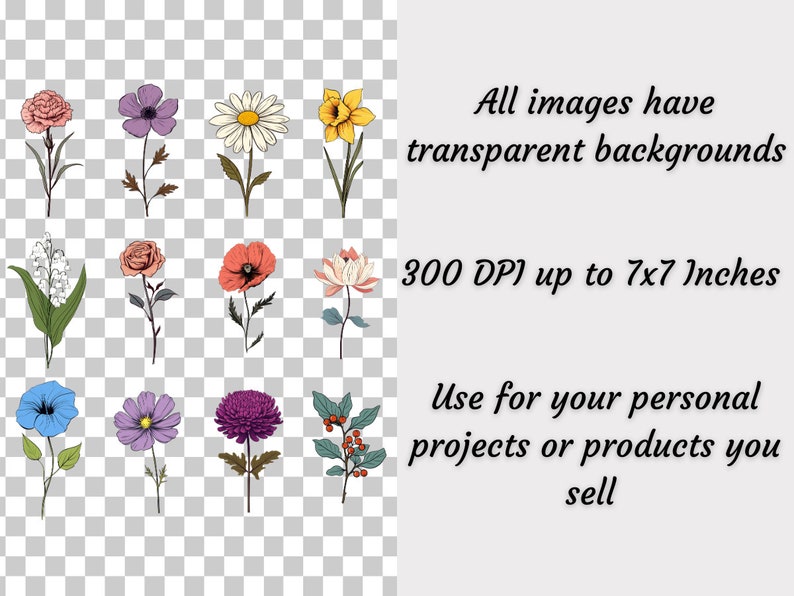 May include: A set of 12 hand-drawn floral illustrations with transparent backgrounds. The flowers are in various colors, including pink, purple, blue, red, yellow, and white. The flowers are up to 7 inches in size and 300 DPI.