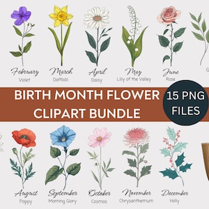 Paquete de imágenes prediseñadas de flores del mes de nacimiento, paquete PNG de flores de nacimiento, regalo de flores del mes de nacimiento de bricolaje, imágenes prediseñadas de ramo del mes de nacimiento de flores digitales, florales