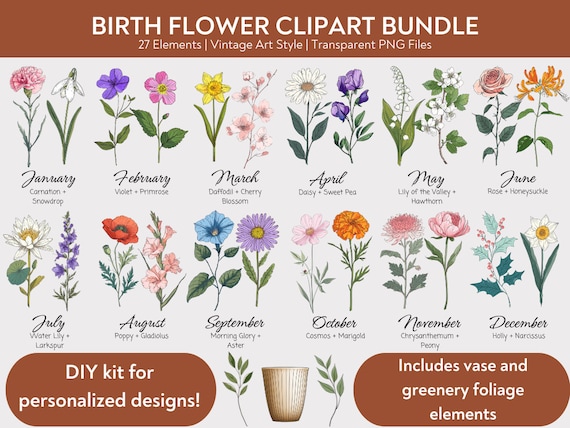 Birth Month Flowers Clipart Bundle, Birth Flower PNG Bundle, DIY Birth Month Flower Gift, Digital Flower Birth Month Bouquet Clipart, Floral