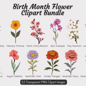 Pacote mensal de flores PNG, pacote de clipart de flores de nascimento, presente de flores do mês de nascimento DIY, pacote de clipart floral de nascimento, buquê de flores do mês de nascimento