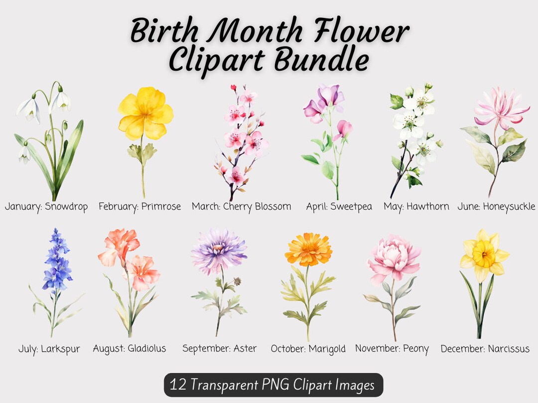Birth Month Flowers Clipart Bundle, Watercolor Birth Flower PNG Bundle