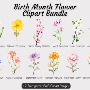 Birth Month Flowers Clipart Bundle, Watercolor Birth Flower PNG Bundle, DIY Birth Month Flower Gift, Digital Flower Birth Month Bouquet Art