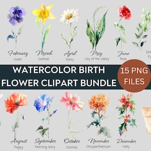 Paquete de imágenes prediseñadas de flores del mes de nacimiento de acuarela, paquete PNG de flores de nacimiento, regalo de flores del mes de nacimiento de bricolaje, imágenes prediseñadas de ramo de flores digitales, florales