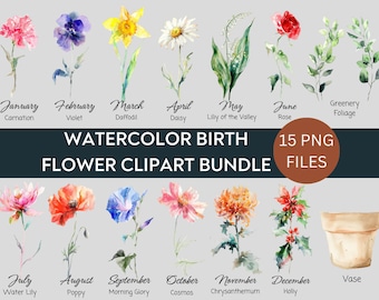 Watercolor Birth Month Flowers Clipart Bundle, Birth Flower PNG Bundle, DIY Birth Month Flower Gift, Digital Flower Bouquet Clipart, Floral