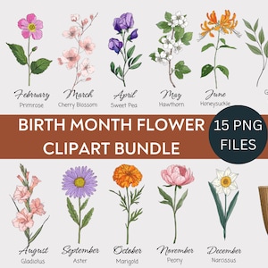 Paquete de flores de nacimiento PNG Imágenes Prediseñadas, Imágenes Prediseñadas de flores del mes de nacimiento, Creador de estampados florales DIY, Flor mensual PNG Imágenes Prediseñadas imprimibles Regalo de arte floral