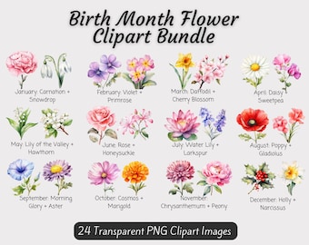 Geboortemaand bloemen clipart bundel, geboorte bloem PNG bundel, DIY geboorte maand bloemgift, digitale bloem geboorte maand boeket clipart, bloemen