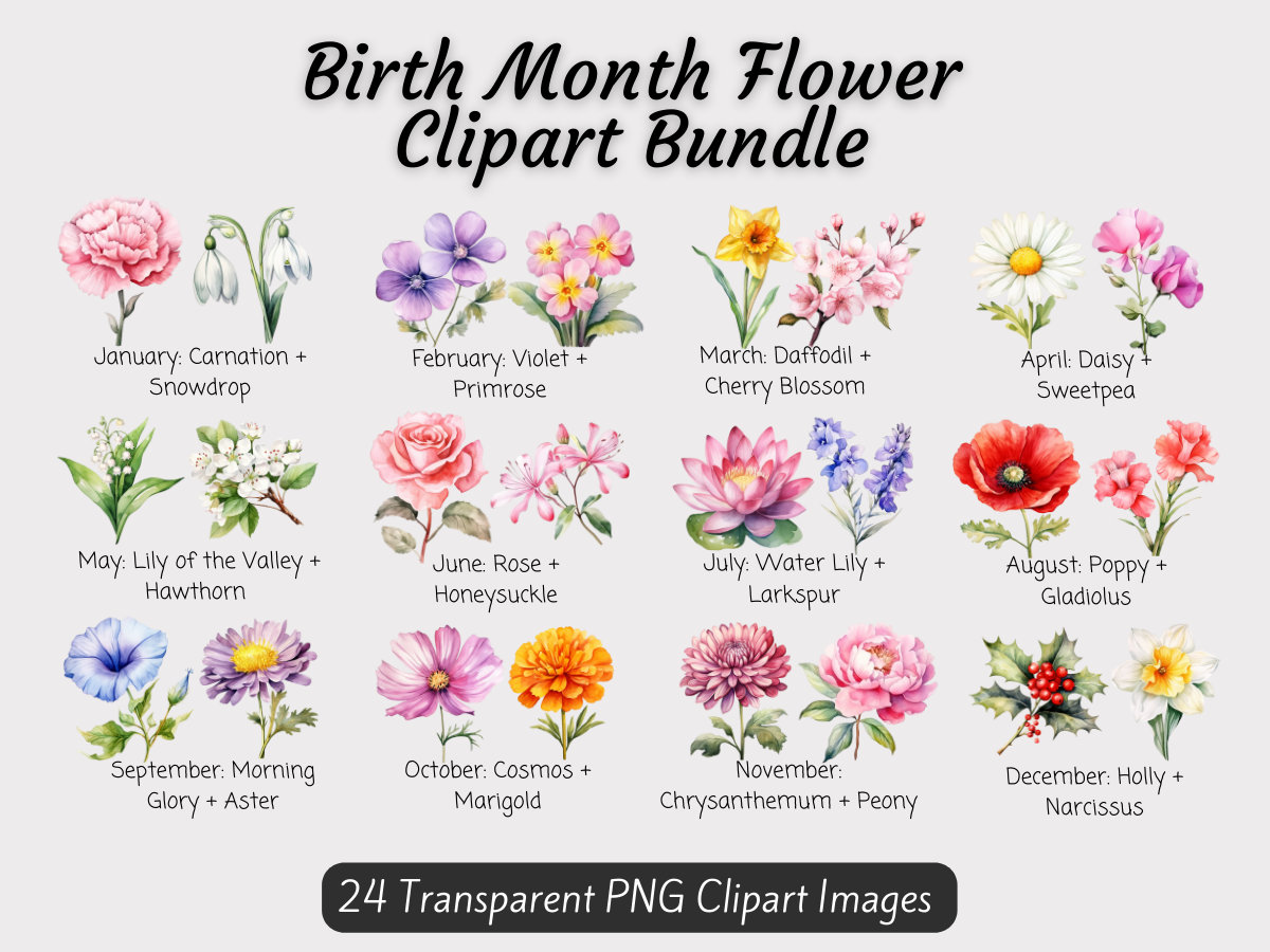 Birth Month Flowers Clipart Bundle, Birth Flower PNG Bundle, DIY Birth ...