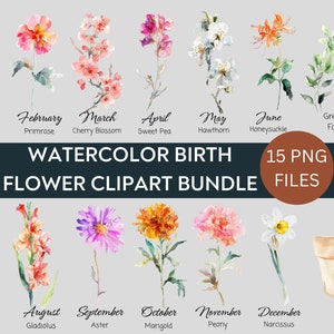 Paquete de imágenes prediseñadas de flores del mes de nacimiento de acuarela, paquete PNG de flores de nacimiento, regalo de flores del mes de nacimiento de bricolaje, imágenes prediseñadas de ramo de flores digitales, florales