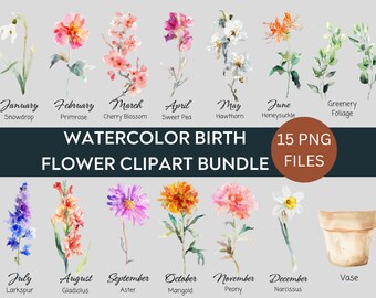 Watercolor Birth Month Flowers Clipart Bundle, Birth Flower PNG Bundle, DIY Birth Month Flower Gift, Digital Flower Bouquet Clipart, Floral