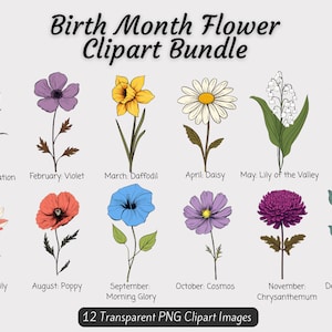 Paquet de clipart de fleur de naissance, fleurs de mois de naissance PNG, cadeau de fleur de mois de naissance de bricolage, paquet de clipart floral de naissance, fleur mensuelle PNG botanique
