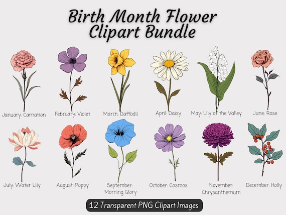 Birth Flower Clipart Bundle, Birth Month Flowers PNG, DIY Birth Month Flower Gift, Birth Floral Clipart Bundle, Monthly Flower PNG Botanical