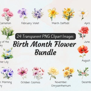 Paquete de imágenes prediseñadas de flores del mes de nacimiento, imágenes prediseñadas de flores de nacimiento de acuarela PNG, regalo de flores del mes de nacimiento diy, imágenes prediseñadas botánicas del mes de nacimiento digital