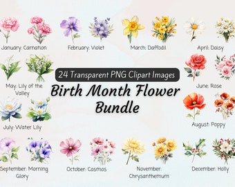 Geboortemaand bloemen clipart bundel, aquarel geboorte bloem clipart PNG, DIY geboorte maand bloemgift, digitale geboorte maand botanische clipart