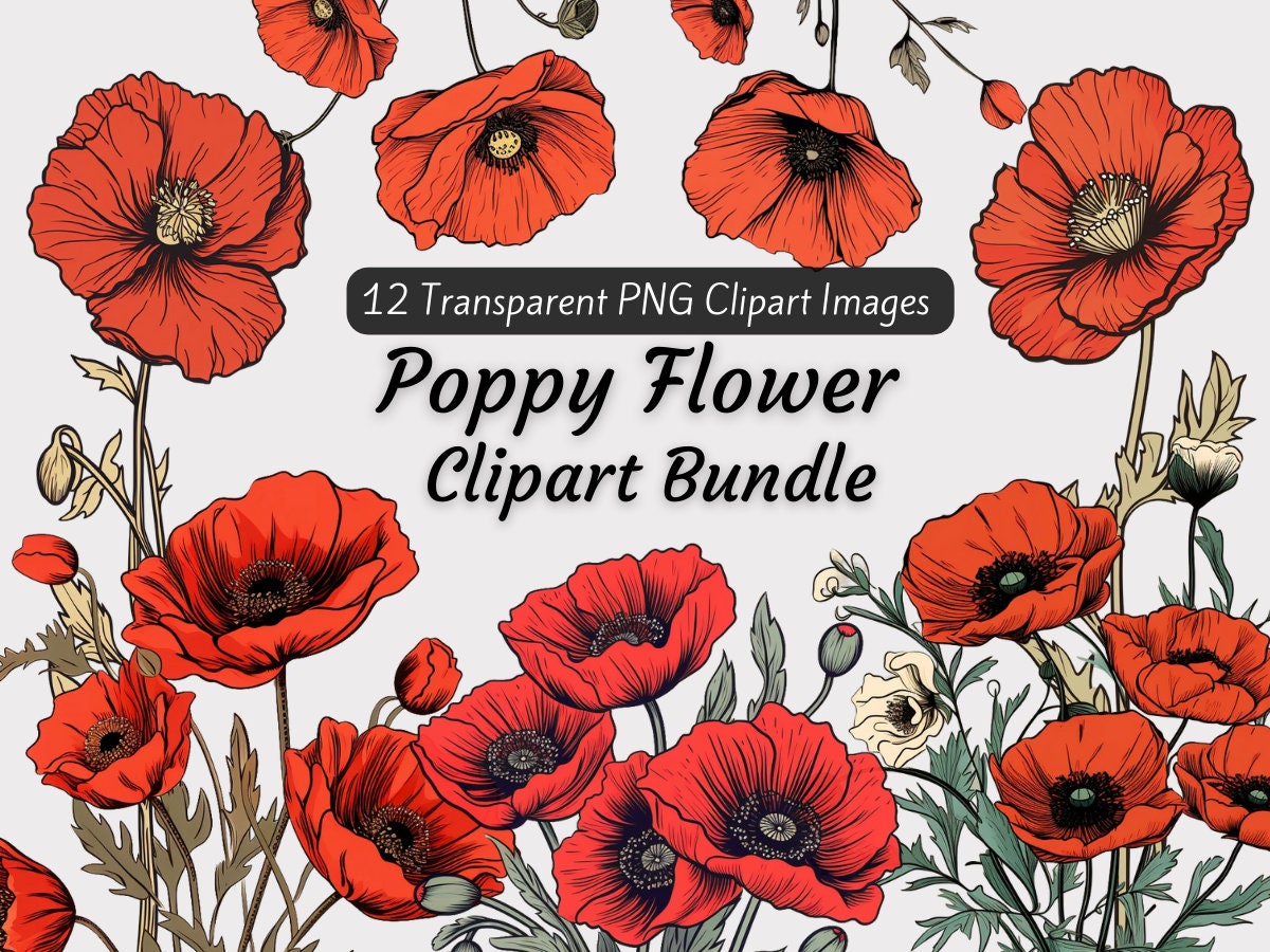 Poppy Clipart Bundle, 12 Poppies Monthly Flower PNG, Birth Flower Poppy  Clipart, Poppies Clipart Bouquet, Floral Boho Botanical Clipart - Etsy, image size:1200x900