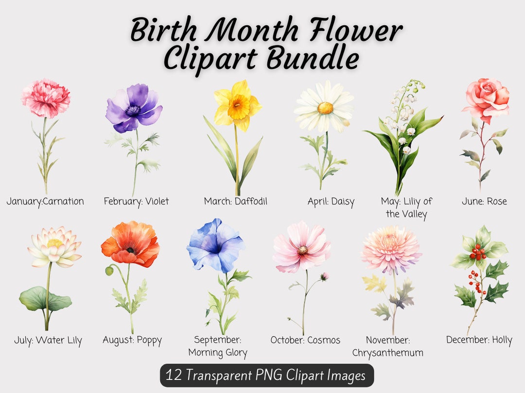 Birth Month Flowers Clipart Bundle, Watercolor Birth Flower PNG Bundle