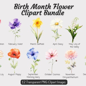 Paquete de imágenes prediseñadas de flores del mes de nacimiento, paquete PNG de flores de nacimiento de acuarela, regalo de flores del mes de nacimiento de bricolaje, arte de ramo del mes de nacimiento de flores digitales