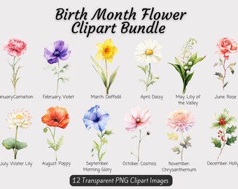 Geboortemaand bloemen clipart bundel, aquarel geboorte bloem PNG bundel, DIY geboorte maand bloemgift, digitale bloem geboorte maand boeket kunst