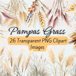 Clipart herbe de la pampa, bouquet floral bohème aquarelle herbe de la pampa, arrangement blanc et rose nuptiale bohème des pampas, Clipart floral, herbe sauvage