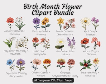 Geboortemaand bloemen clipart bundel, geboorte bloem PNG bundel, DIY geboorte maand bloemgift, digitale bloem geboorte maand boeket clipart, bloemen