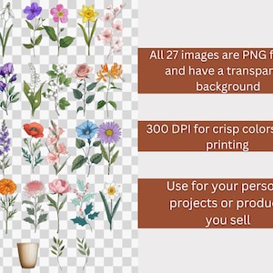 Puede incluir: Un conjunto de 27 ilustraciones digitales de varias flores, incluyendo una amapola, una margarita, un clavel, un narciso, una rosa y un lirio. Las flores est&aacute;n todas en un estilo vintage y tienen un fondo transparente.