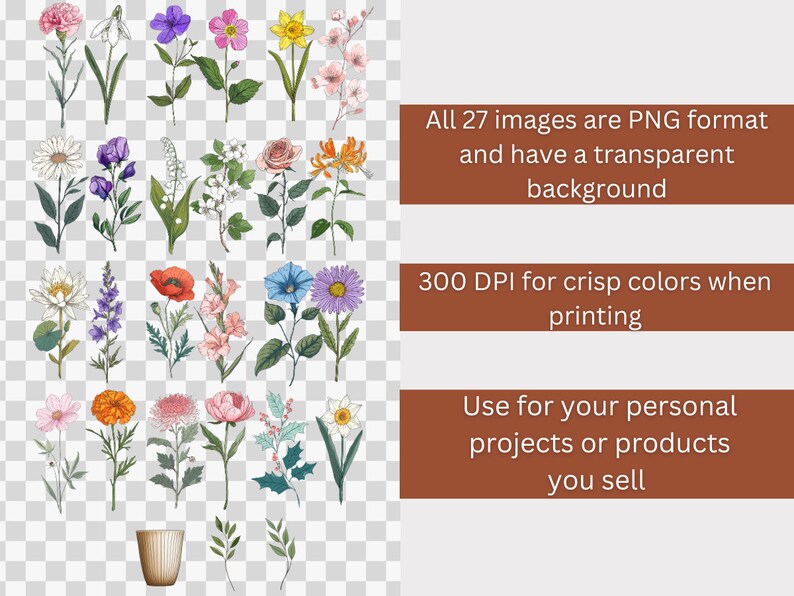 Puede incluir: Un conjunto de 27 ilustraciones digitales de varias flores, incluyendo una amapola, una margarita, un clavel, un narciso, una rosa y un lirio. Las flores est&aacute;n todas en un estilo vintage y tienen un fondo transparente.