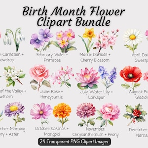 Monthly Flower PNG Bundle, Birth Month Flowers Clipart Bundle, DIY ...