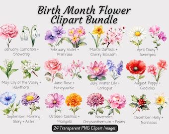 Monthly Flower PNG Bundle, Birth Month Flowers Clipart Bundle, DIY Birth Month Flower Gift, Watercolor Birth Flower Bouquet Bundle, Floral