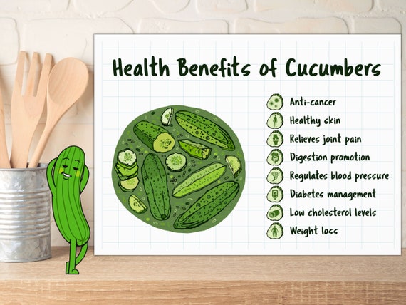 English Cucumbers - Complete Information Including Health Benefits,  Selection Guide and Usage Tips - GoToChef
